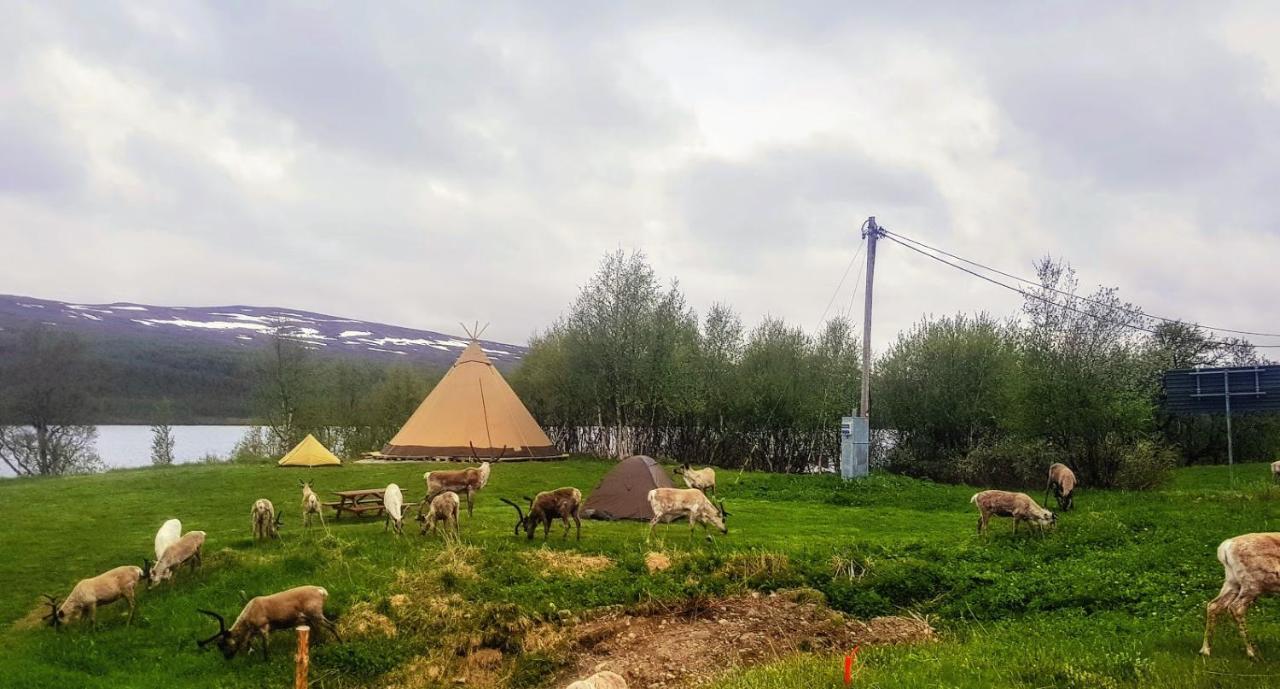 Fjallnaes Camping & Lodges Ostra Malmagen Exterior foto